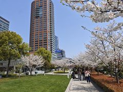 -北外滩滨江绿地