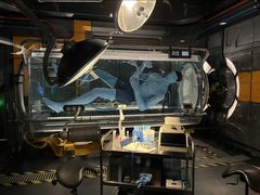 -奥兰多迪士尼动物王国乐园