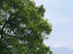 -严子陵钓台(富春江小三峡)