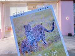 -Holiland好利来(望京新世界店)