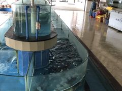 -台山第一家兴华黄鳝饭·黄鳝婆(开平店)