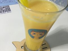 -喵的天空名猫咖啡馆·撸猫·猫舍·用品