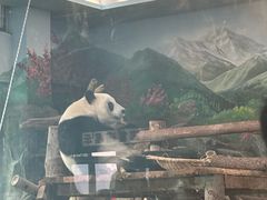 -武汉动物园