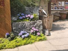 -田园印象·成都土菜院子(华阳店)