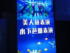 -蓬莱欧乐堡海洋极地世界