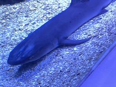 -常州海昌海洋探索馆