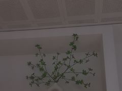 -极简口腔(总院)