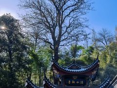 -九华山风景区-东崖禅寺
