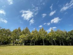 -上海吴淞炮台湾国家湿地公园