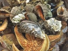 -宾朋海鲜特色美食餐厅·纯手工鲅鱼水饺(兴海路店)