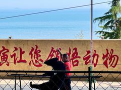 -东方熊牧场