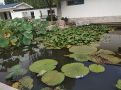 -廊坊市自然公园