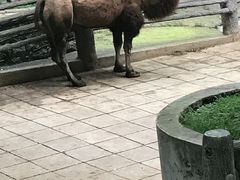 景点-昆明动物园