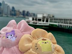 -玩具反斗城(海港城店)