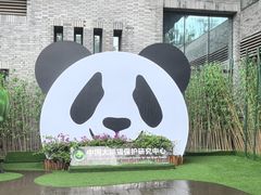 -都江堰中华大熊猫苑