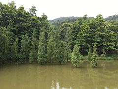 -广州市帽峰山景区