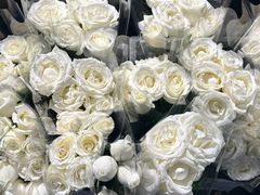 -循礼门鲜花花市(武汉循礼门店)