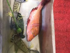 -凤城礼记鱼翅海鲜酒家(新马路总店)