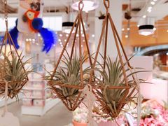 -KKV(深圳kk one 店)