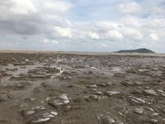 -洋山深水港