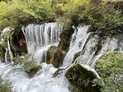 -九寨沟-树正沟