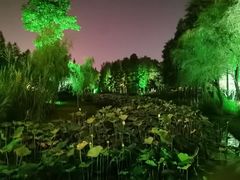 -暨阳湖生态园