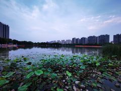 -南翔镇银翔湖公园