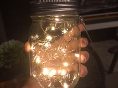 -柴犬高等学院·狗咖·柴犬售卖·宠物训练