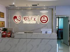 -爱月宝月嫂·育儿嫂