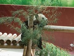 -杭州野生动物世界
