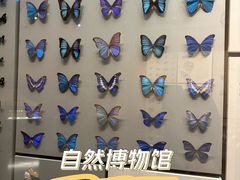 -天津自然博物馆