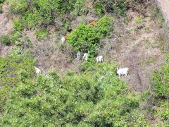 -蟠龙山长城景区
