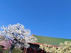 -珠海圆明新园