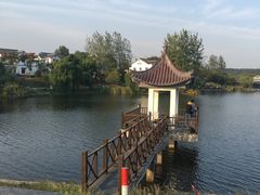 -大塘金香草谷