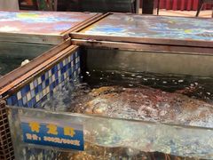 -金河半岛园林酒家(金融城店)