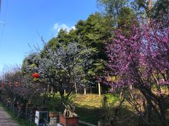 -秀丽东方