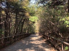 -棋盘山风景区