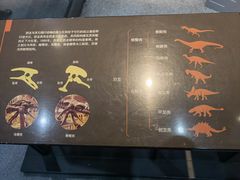 -浙江自然博物院(杭州馆)
