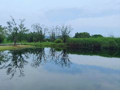 -良渚古城遗址公园