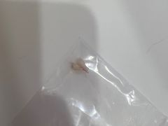 -泰康拜博口腔(世博园乐尔店)