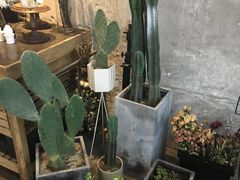 -洛佩塔蛋糕