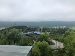 -新长岭大酒店酒楼