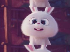 -袁记云饺(邯郸路店)