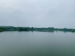 -大兴滨河森林公园