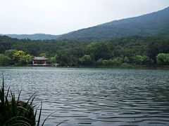 -紫霞湖公园
