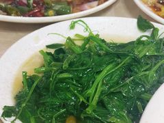 -茅屋大酒店