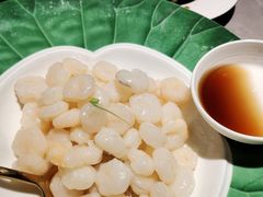清炒虾仁-醉庐·新上海菜(南京西路店)
