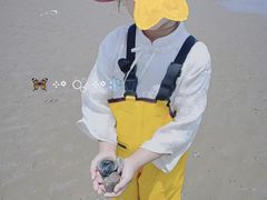 -刘家湾赶海园