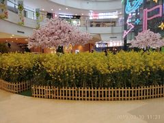 -当当书店(国泰广场店)
