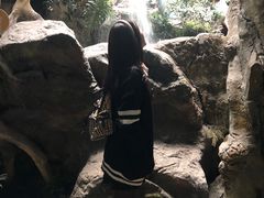 -多彩贵州城极地海洋世界